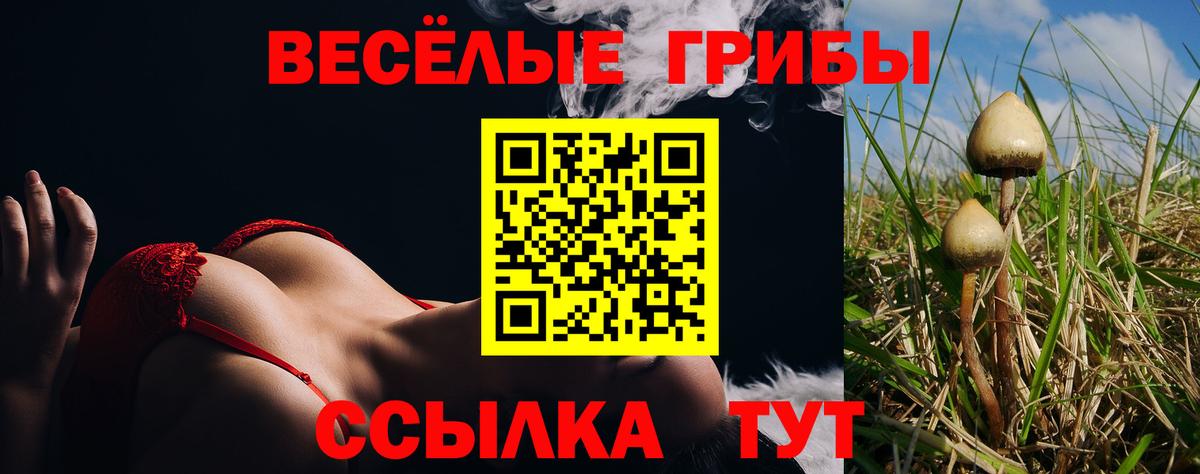 Псилоцибиновые грибы Cubensis  Псилоцибиновые грибы MAGIC MUSHROOMS  Вход с VPN  где купить наркотик  Богородицк 